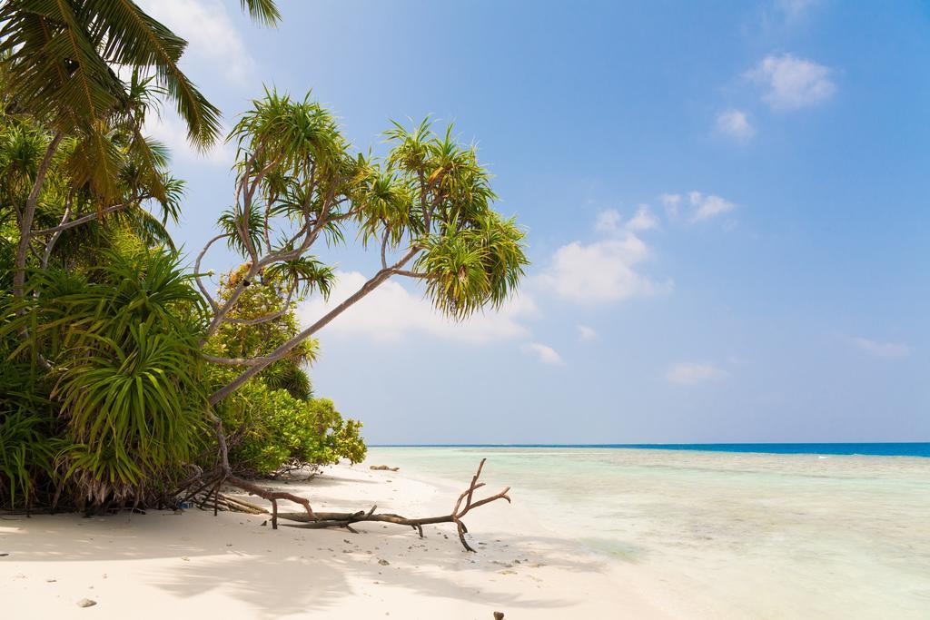 ホテル Kalaafaanu Retreat Hangnaameedhoo エクステリア 写真