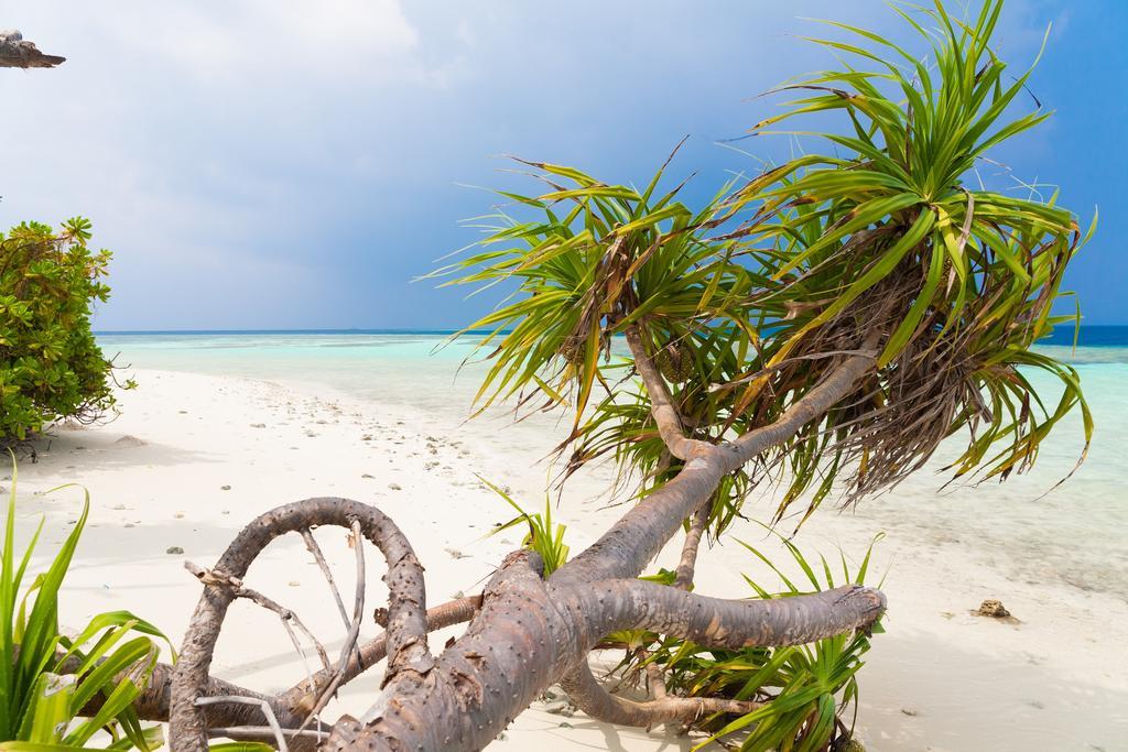 ホテル Kalaafaanu Retreat Hangnaameedhoo エクステリア 写真